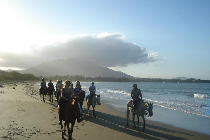 Beach Horseback Riding in Puerto Plata - Key points to know before you book