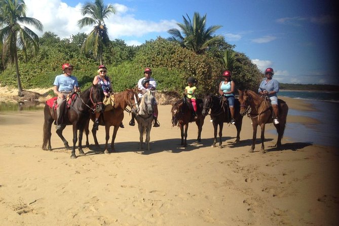 Beach Horseback Riding in Puerto Plata - The horses and the comfort factor