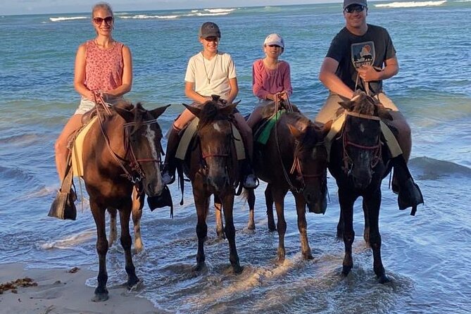 Beach Sunset Horseback Ride in Punta Cana - A Ten-Minute Rest Break