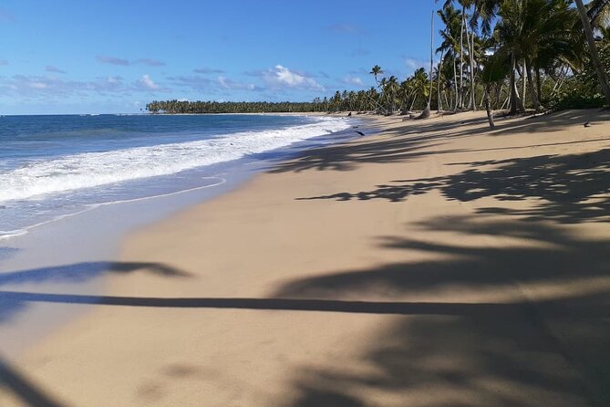 Best ATV Tour In Punta Cana - From Punta Cana to the quieter side of the coast