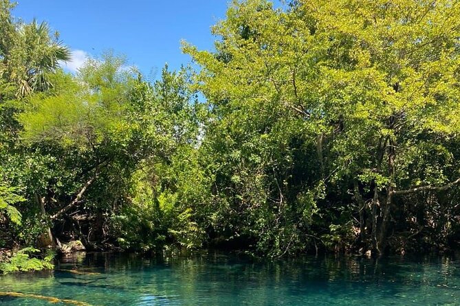Blue Lagoon Tour with Catamaran Cruise and Snorkeling - Who will enjoy this Punta Cana day