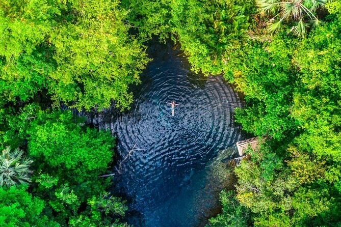 Blue Lagoon Tour with Catamaran Cruise and Snorkeling - Swimming with turtles at Ojos Indígenas Cenote