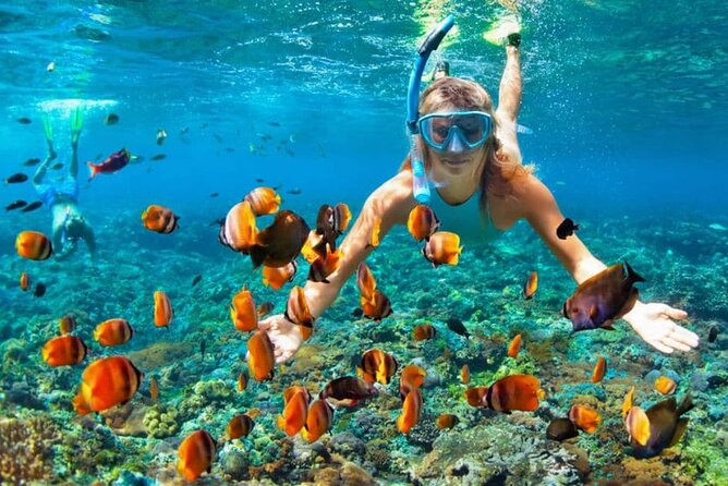 Boat Tour to Bibijagua Beach from Punta Cana - The atmosphere and the staff