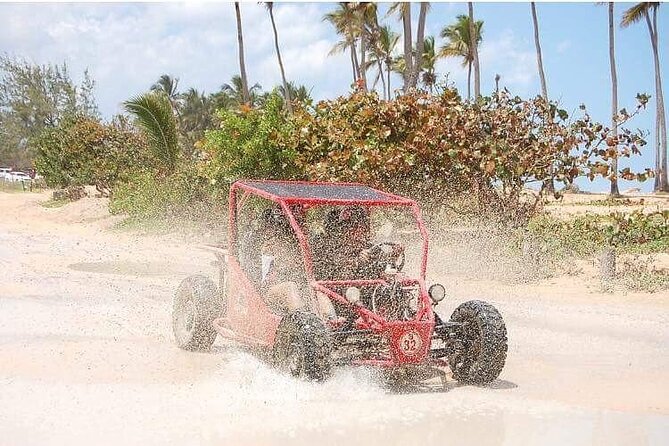 Boogies & Polaris - Explore Punta Cana in a Buggy - A swim in a clear-water natural cave