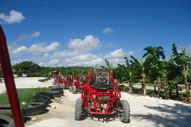 Buggies Half Day Experience and Cenote - Who will enjoy this most