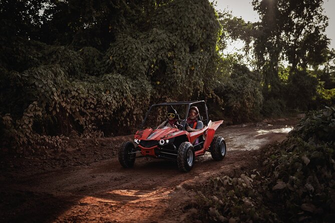 Buggy Half Day Adventure with Cave Swim from Punta Cana - A cenote swim in a palm-lined cave