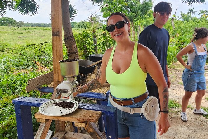 Buggy, horse and plantation ranch - Key points to know before you book