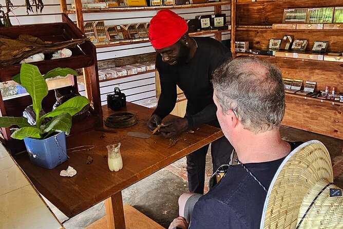 Buggy, horse and plantation ranch - Turning coffee, cocoa, and tobacco into a hands-on lesson