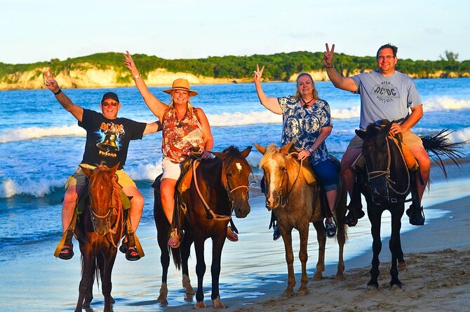 Buggy, horse and plantation ranch - Coffee, chocolate, cigar, and souvenir tips