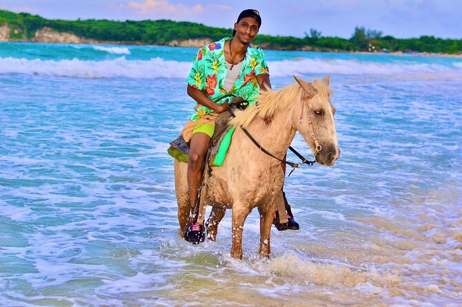 Buggy, horse and plantation ranch - Who will enjoy this Punta Cana outing most?