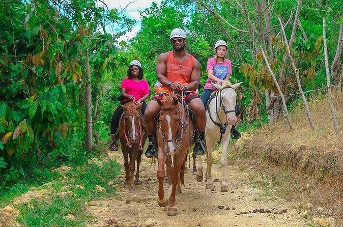 Buggy, Horse and Zip Line with Lunch included from Punta Cana - Pickup, timing, and the real pace of the day