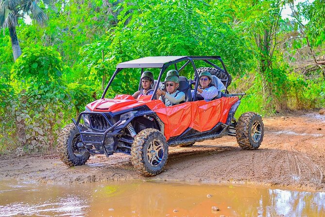 Buggy Horses and Zip Line from Punta Cana with Lunch Included - Who will enjoy this most