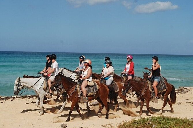 Buggy Horses and Zip Line from Punta Cana with Lunch Included - Zip lining near Macao Beach