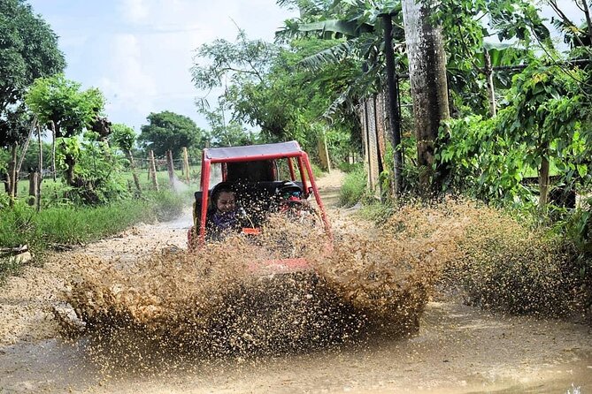 Buggy Off-Roading with Chocolate and Coffee Tasting In Punta Cana - How the guides affect the day