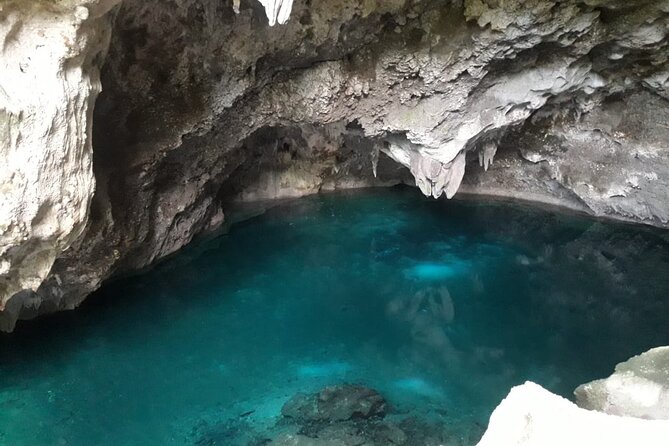 Buggy Punta Cana, Polaris, ATV, CanAm Macao beach and Cave - The organic farm stop