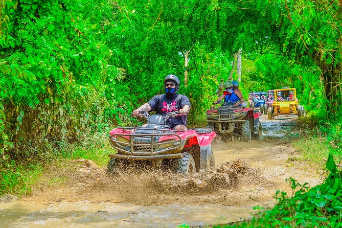 Buggy Ride Into the jungle with cave coffee & chocolate tasting - How much value do you get for $53?