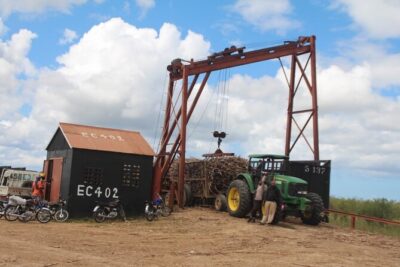 Buggy Sunset – Full day tour with diner on the river- small group