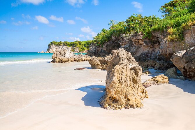 Buggy Tour of the Dominican Countryside + Beach and Local Culture - Is $40 good value?