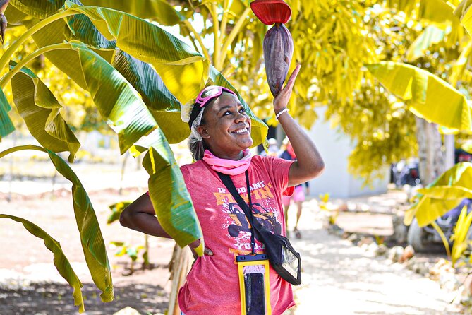 Buggy Tour Punta Cana: MagicalCaves ,Dream Beaches & Culture - Organic coffee, cacao, and mamajuana