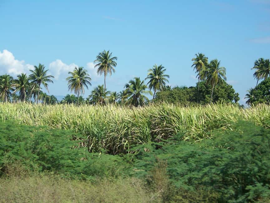 Cabarete: 2-Person Dominican Countryside Buggy Tour - Learning to Handle the Buggy