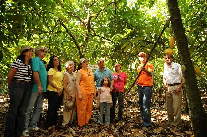 Cacao Plantation and Chocolate Factory Tour- Chocolate Lovers - How personal is the guiding?
