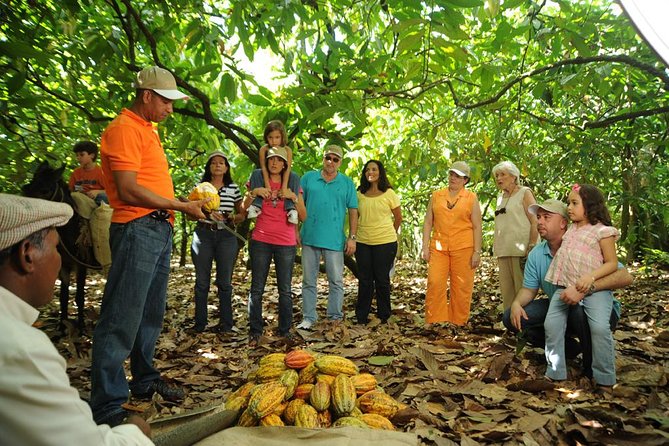 Cacao Plantation and Chocolate Factory Tour- Classic - Key points to know before booking