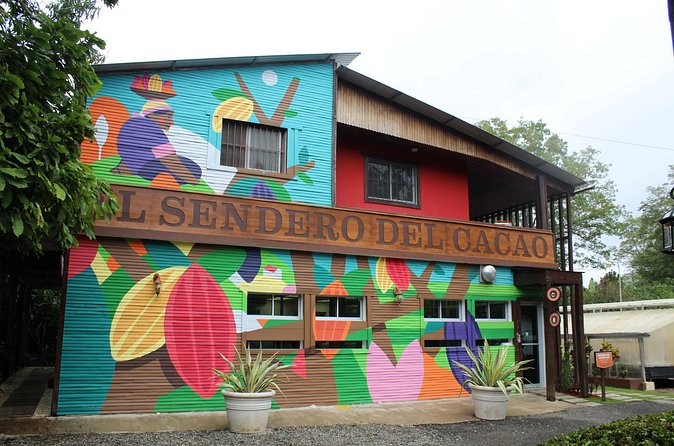 Cacao Plantation and Chocolate Factory Tour- Classic - Dominican lunch with hot chocolate