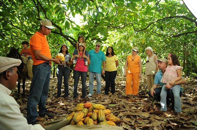 Cacao Plantation and Chocolate Factory Tour- Classic - Dress, fitness, and family considerations