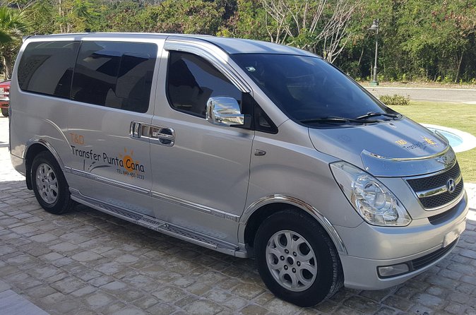 Cap Cana Hotels To Punta Cana Airport (PUJ) One Way - The airport arrival and the one weak point