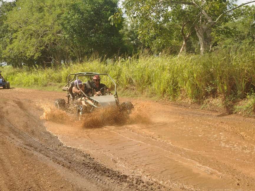 Caribbean Buggy Escape – Bayahibe Jungle & Safari - Seeing conucos and tasting fresh sugar cane