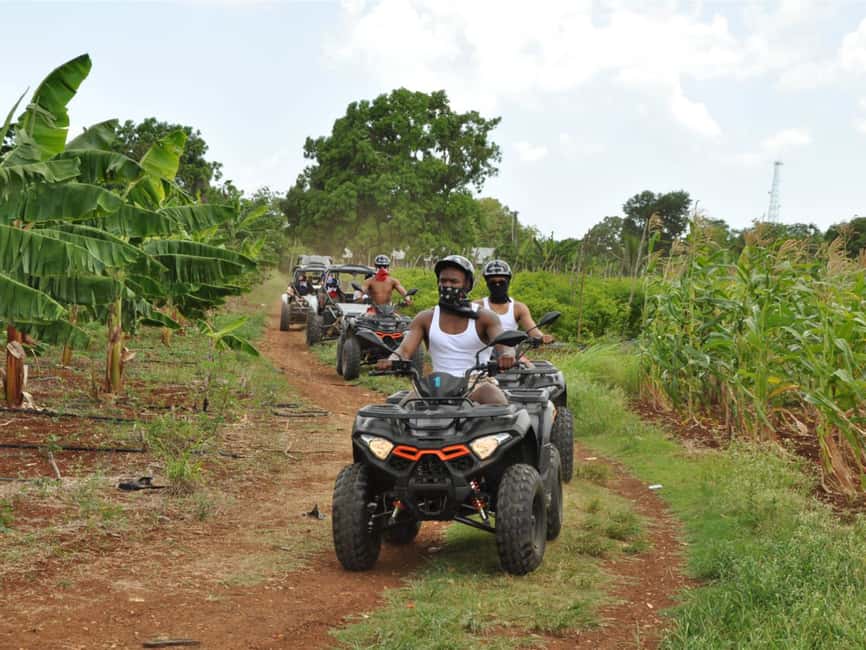 Caribbean Buggy Escape – Bayahibe Jungle & Safari - Who should book this Bayahibe buggy tour?