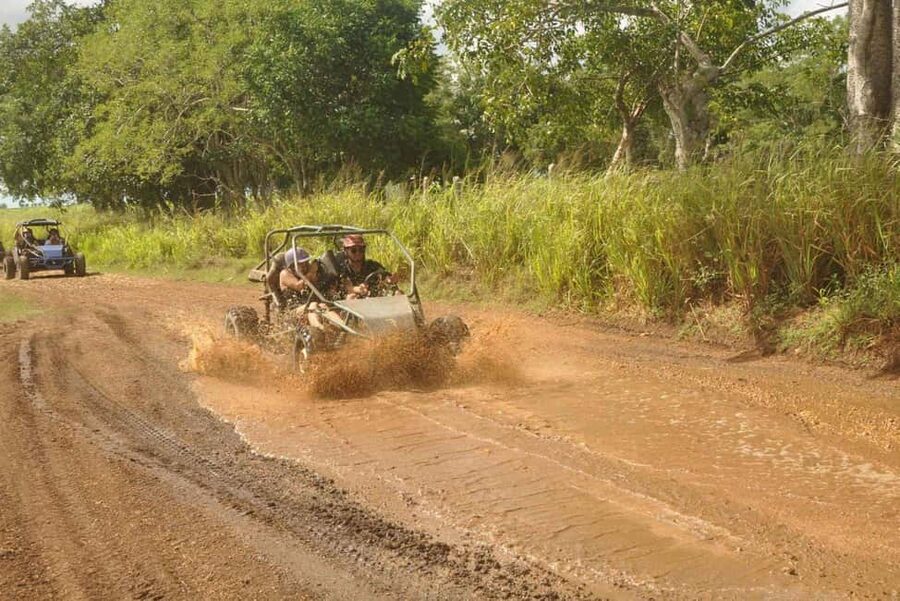 Caribbean Buggy Escape – Bayahibe Jungle & Safari - One hour of trails, mud, and jungle scenery