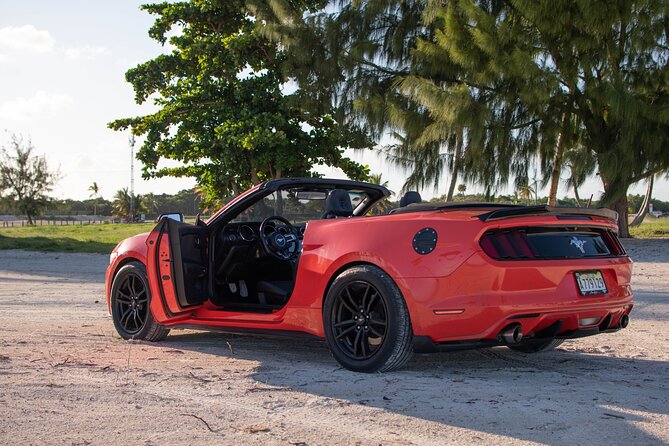 Cars for Rent in Punta Cana - Who will enjoy this rental most