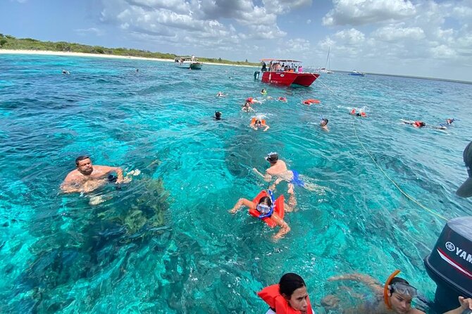 Catalina Island and Snorkeling - Full-day Trip - Key points to know before booking