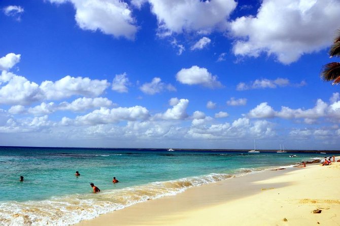 Catalina Island and Snorkeling - Full-day Trip - Boarding the catamaran or speedboat