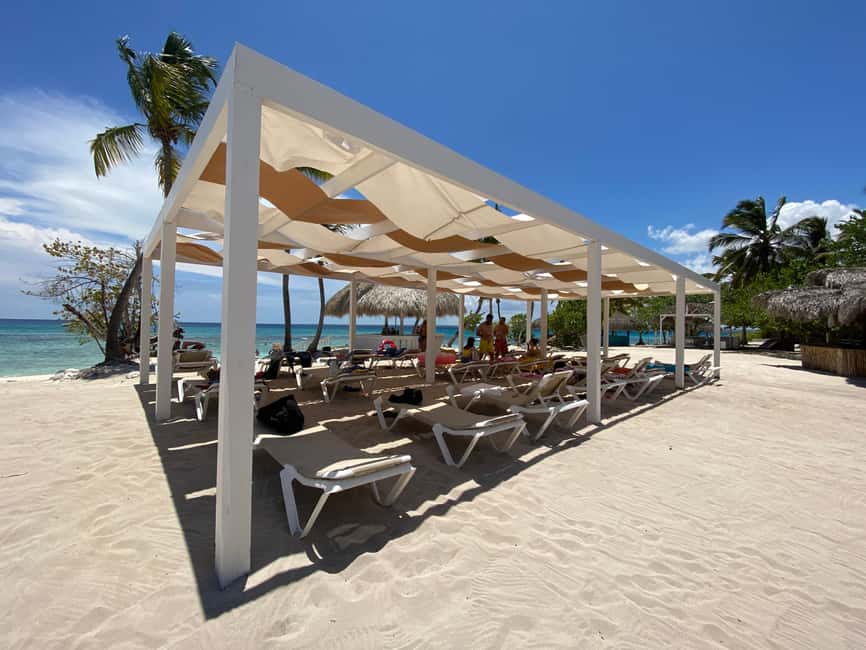Catalina Island Comfort: Snorkeling & Catamaran Experience - Who should choose this Catalina day?