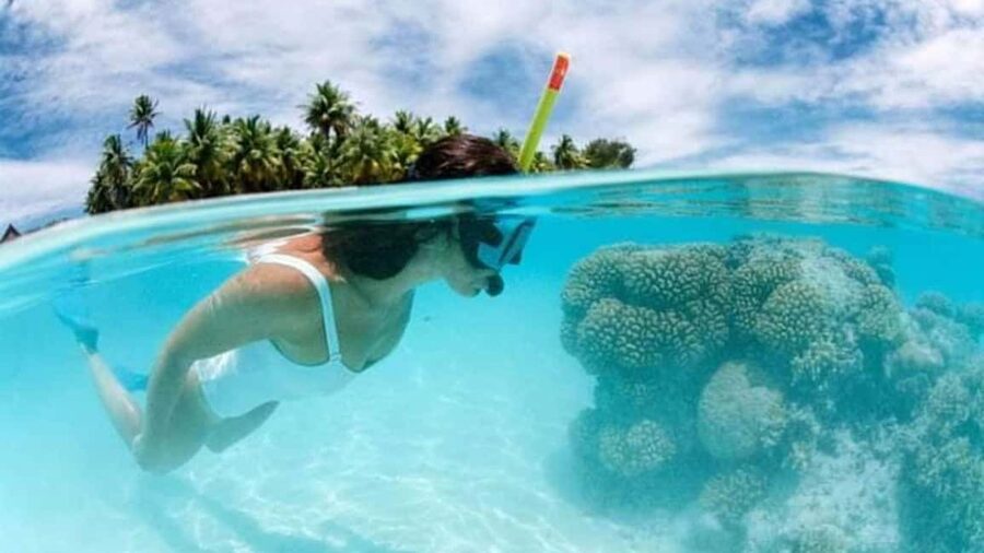 Catalina Island: Day Trip - Best Snorkeling! - Key points to know before booking