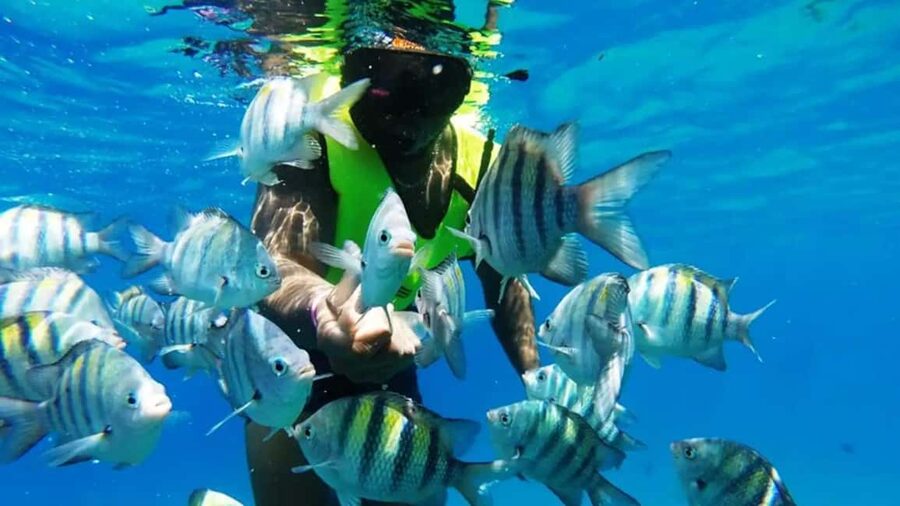 Catalina Island: Day Trip - Best Snorkeling! - The boat ride and the first look at Catalina