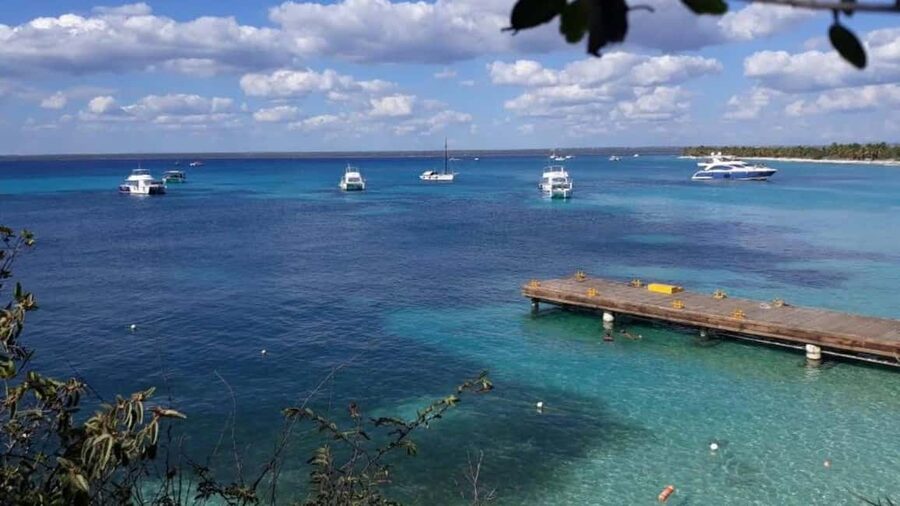 Catalina Island: Day Trip - Best Snorkeling! - The Wall: snorkeling over a steep reef edge