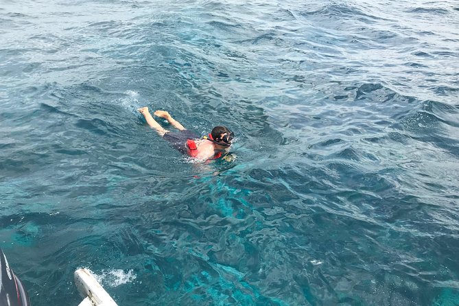 Catalina Island DayTrip + Great Snorkeling - What the 60-person limit means