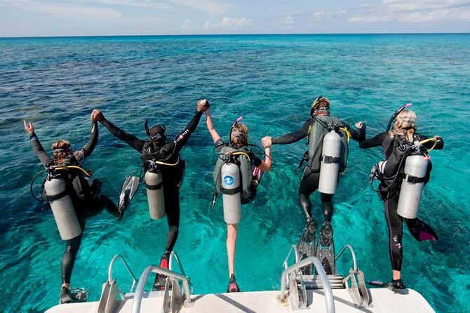 Catalina Island Diving Tour - Starting with hotel pickup in the Dominican Republic