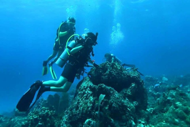 Catalina Island Diving Tour - Catalina Island and the water activity