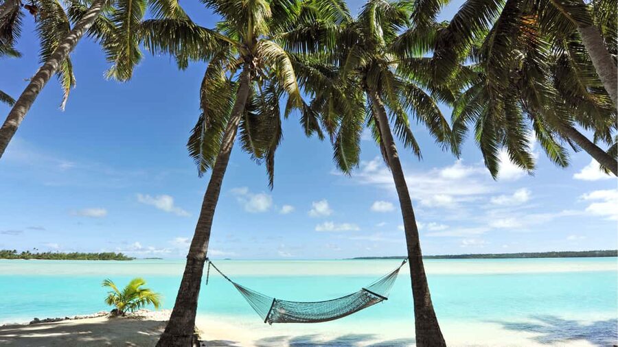 Catalina Island, even more pristine than Saona - Key points to know before you book