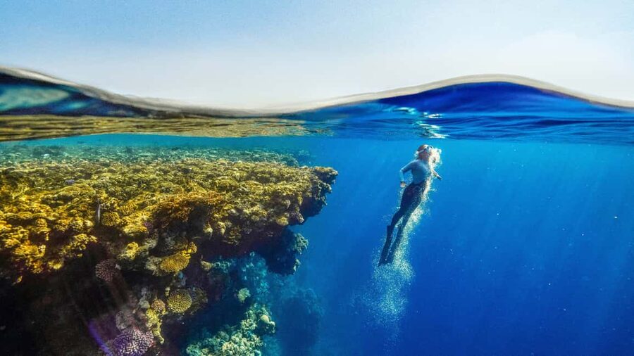 Catalina Island, even more pristine than Saona - Catalina Island is the reason to make the trip