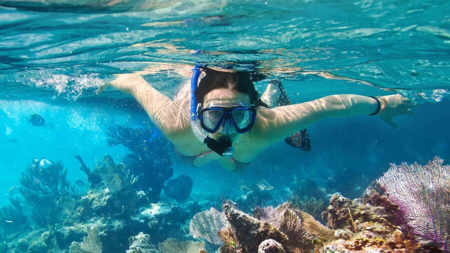 Catalina Island, even more pristine than Saona - The trip from Bávaro takes patience