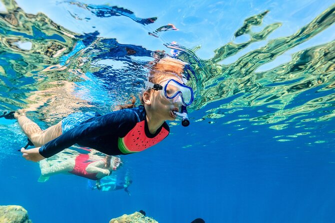 Catalina Island even more unspoilt than Saona Island - Catalina Island is the reason to go