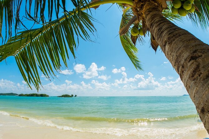Catalina Island even more unspoilt than Saona Island - The early Punta Cana pickup and road transfer