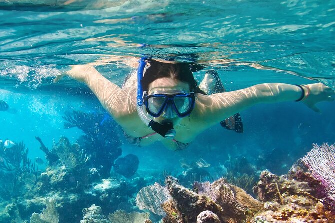 Catalina Island even more unspoilt than Saona Island - Returning by speedboat and bus
