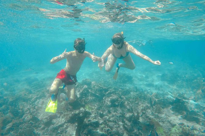 Catalina Island - Full Day All Inclusive Experience - Boarding the catamaran in La Romana