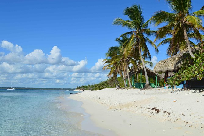 Catalina Island - Full Day All Inclusive Experience - The 7:00 a.m. pickup and road to La Romana